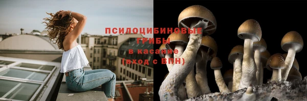 ECSTASY Алзамай