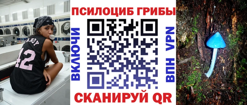 купить наркотики сайты  Яблоновский  Псилоцибиновые грибы Cubensis 